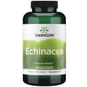 Equinacea 400 mg 100 cápsulas